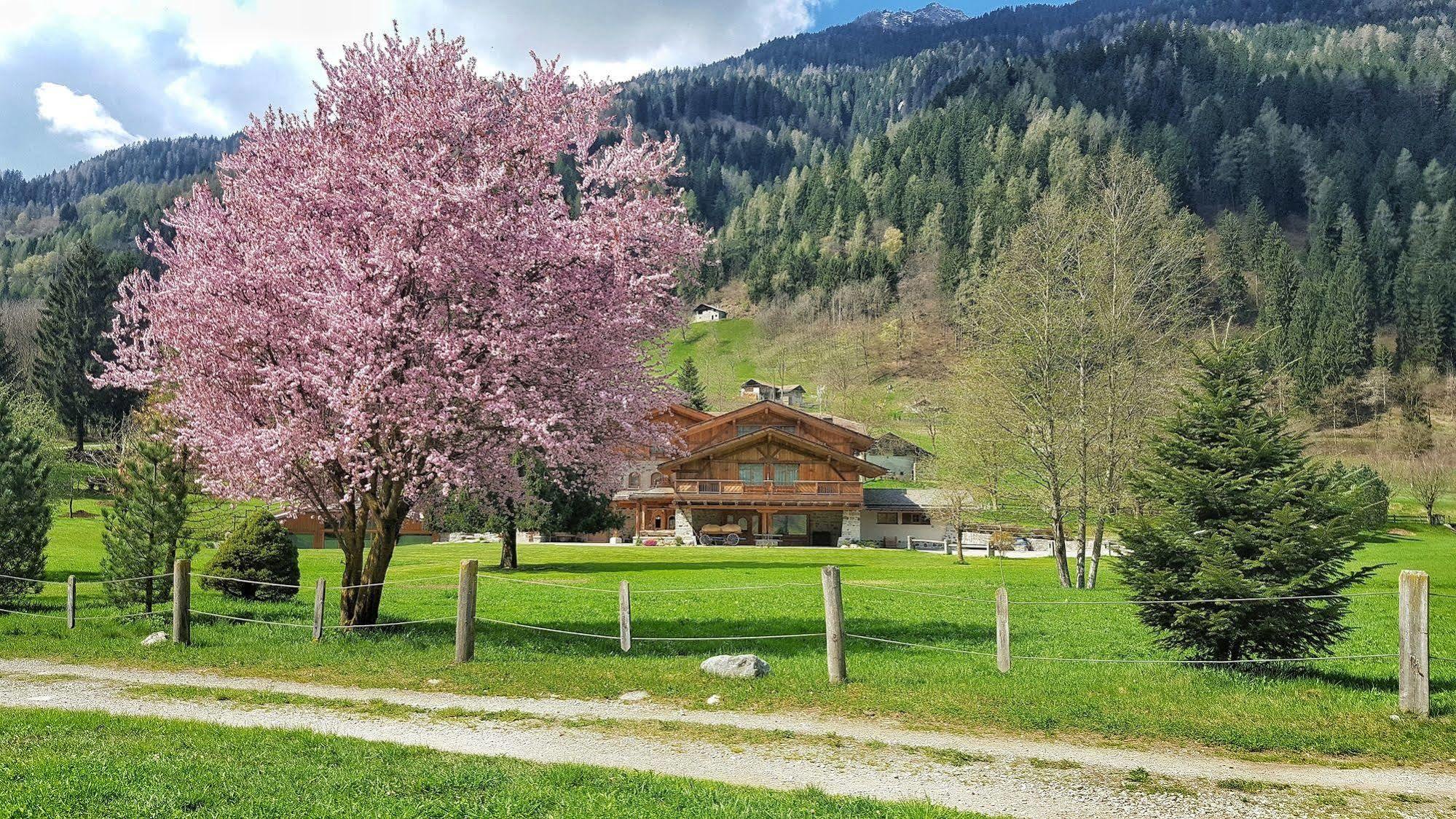 Hotel Maso Del Brenta Caderzone Exterior photo